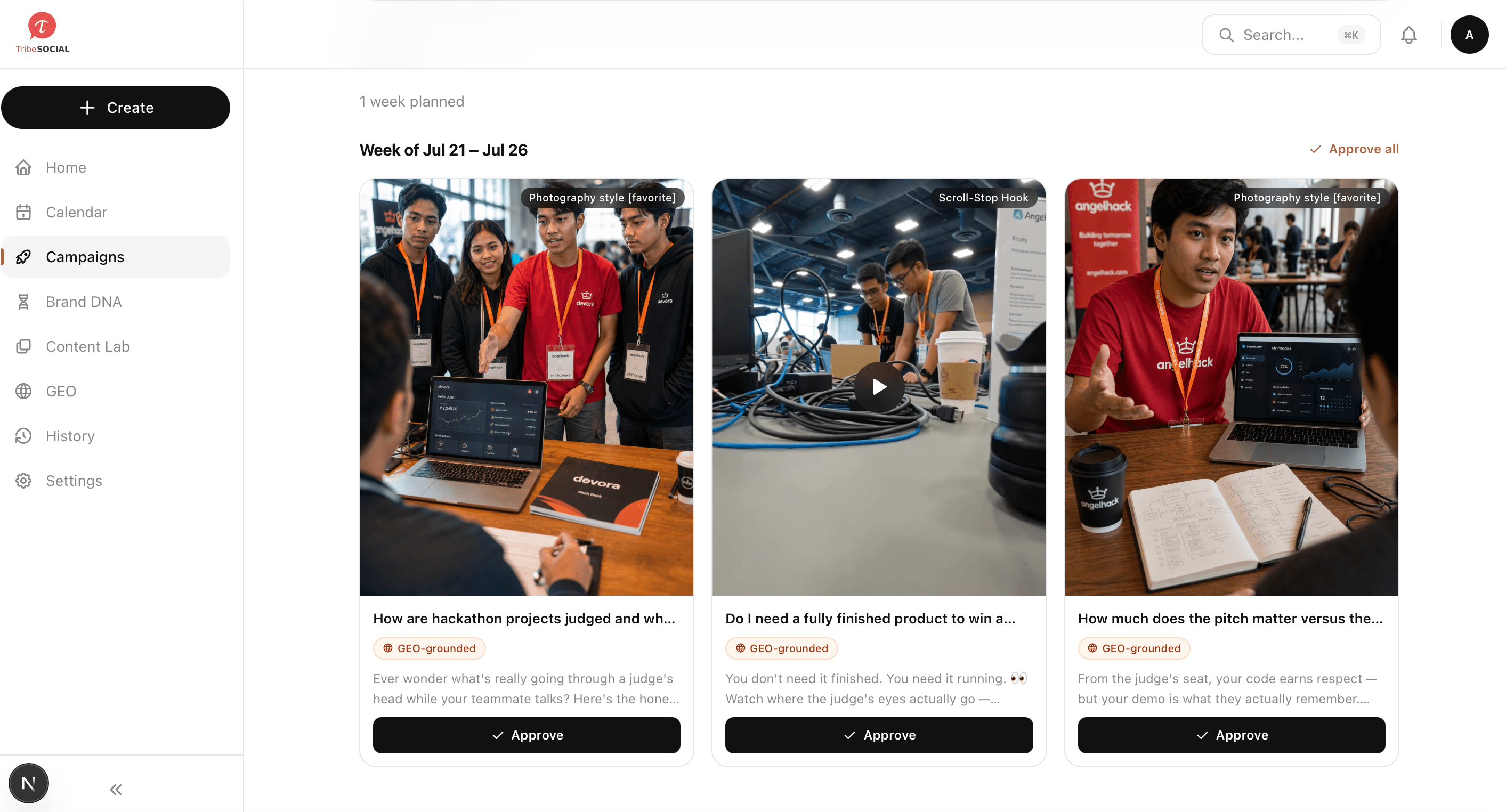 TribeSocial campaigns — every piece shaped by pros